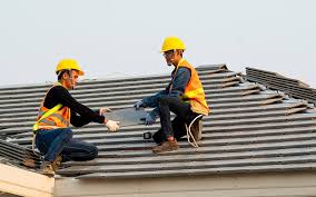 Emergency Roof Repair in Puhi, HI